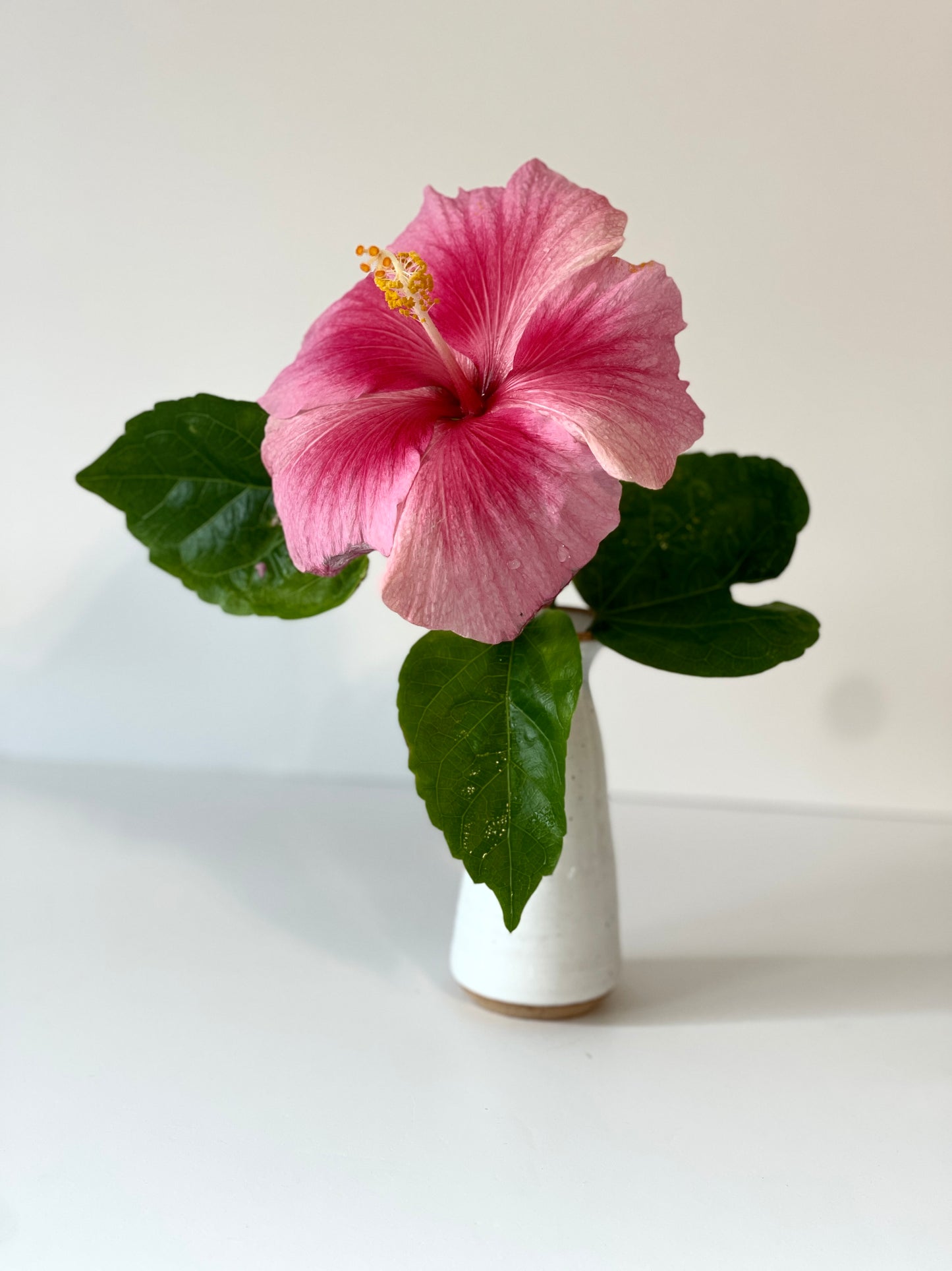 White on Speckled Pillar Vase with flair