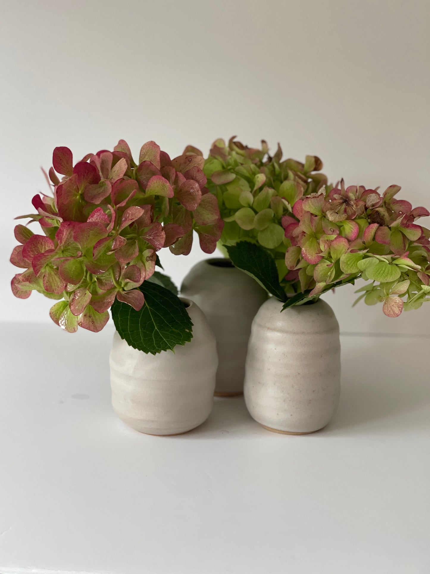 Vanilla Bean Vase