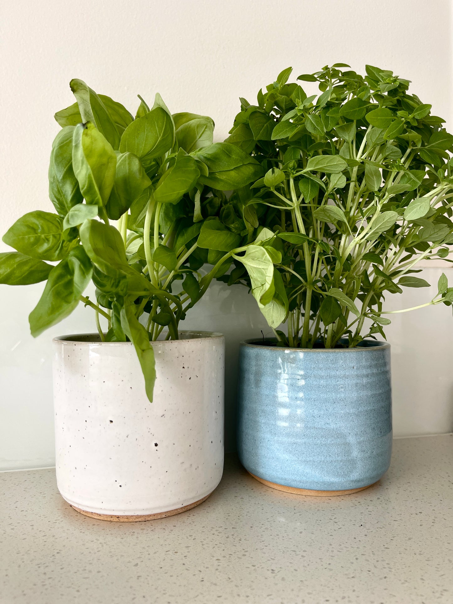 Herb Pot in Blue
