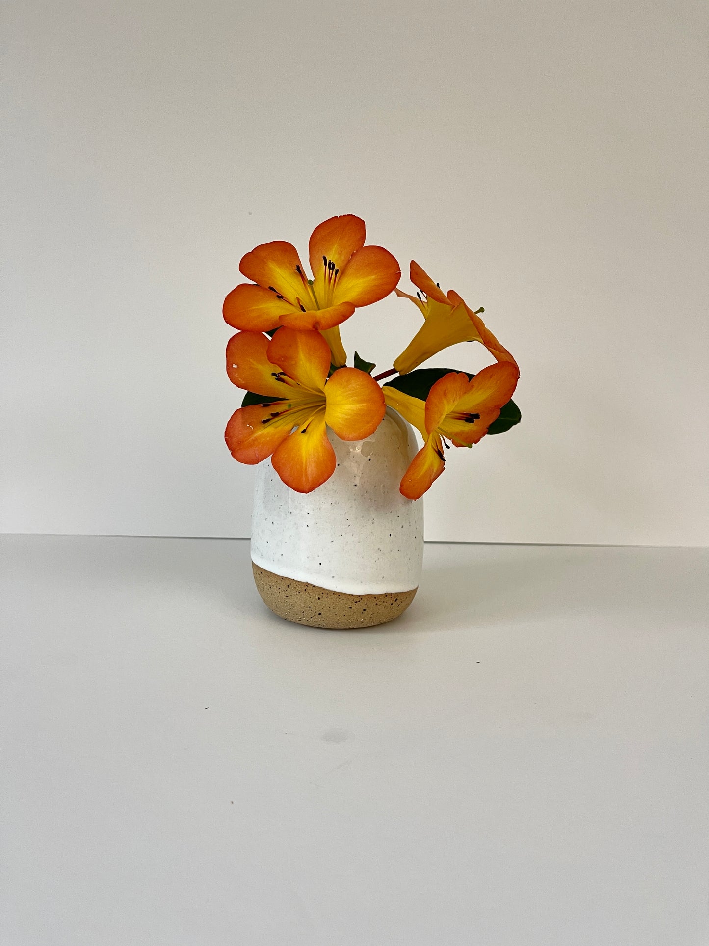 White Bud Vase on Speckled Clay with Raw base