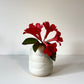 Vanilla Bean Vase