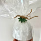 Ceramic Christmas Tree Decorations / Handmade Ceramics by Sue / Buy Online NZ