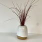 White Bud Vase on Speckled Clay with Raw base
